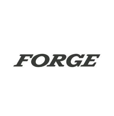 DICKIES DK FORGE